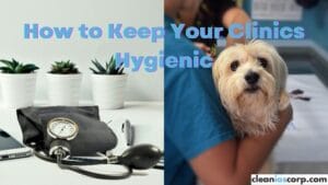 Healthcare Center-Feature image of a clean healthcare and vet clinic with a happy dog.